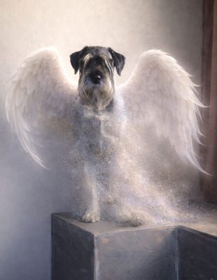 918d9f13-f8c2-4e77-89e0-17738bd0853e