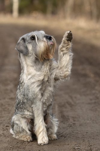 eef7eb4b-319b-47b4-a77f-3b39ead1be85