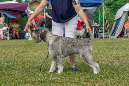 erkkari2022_omat-1739